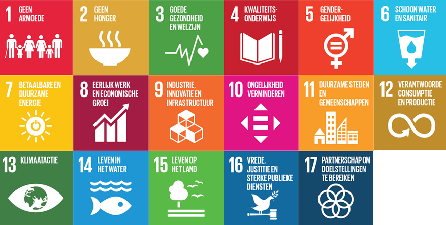 SDG's matrix