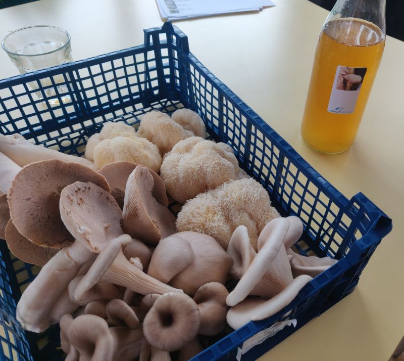 fles drank met paddenstoelen 