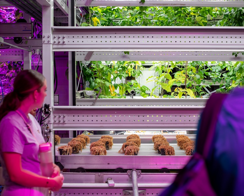 vertical farm