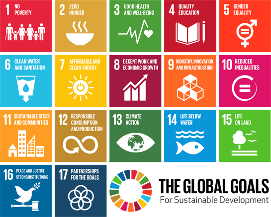 blokkenschema Sustainable Development Goals