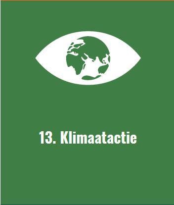 logo SDG13