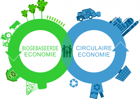 schema circulaire economie