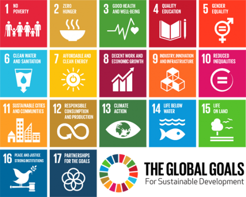 bloksysteem 17 SDG's