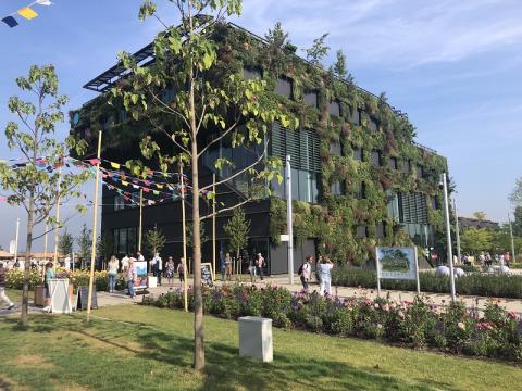 gebouw begroeid met groene planten