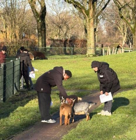 leerlingen aaien geitjes bij Utrecht Natuurlijk