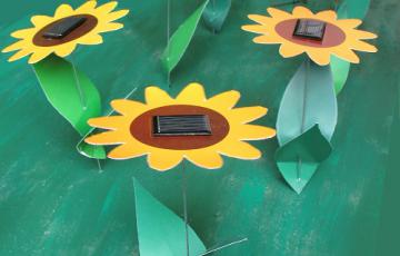 zonnebloemen met zonnepaneeltjes